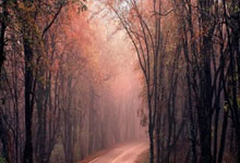 吉林欲强杀北京,终结五连败,看我镇虎掌.