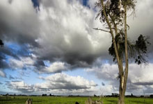 NG体育:詹皇复出两战全败:赛后不接受采访 雷迪克指出不足+将迎魔鬼赛程.