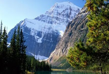 NG体育:记者:葡体今夏愿打7折出售哲凯赖什,为球员要价7000万欧.