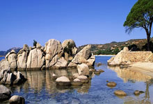 NG体育：[德甲]凯恩德甲首秀传射 拜仁首轮大胜.